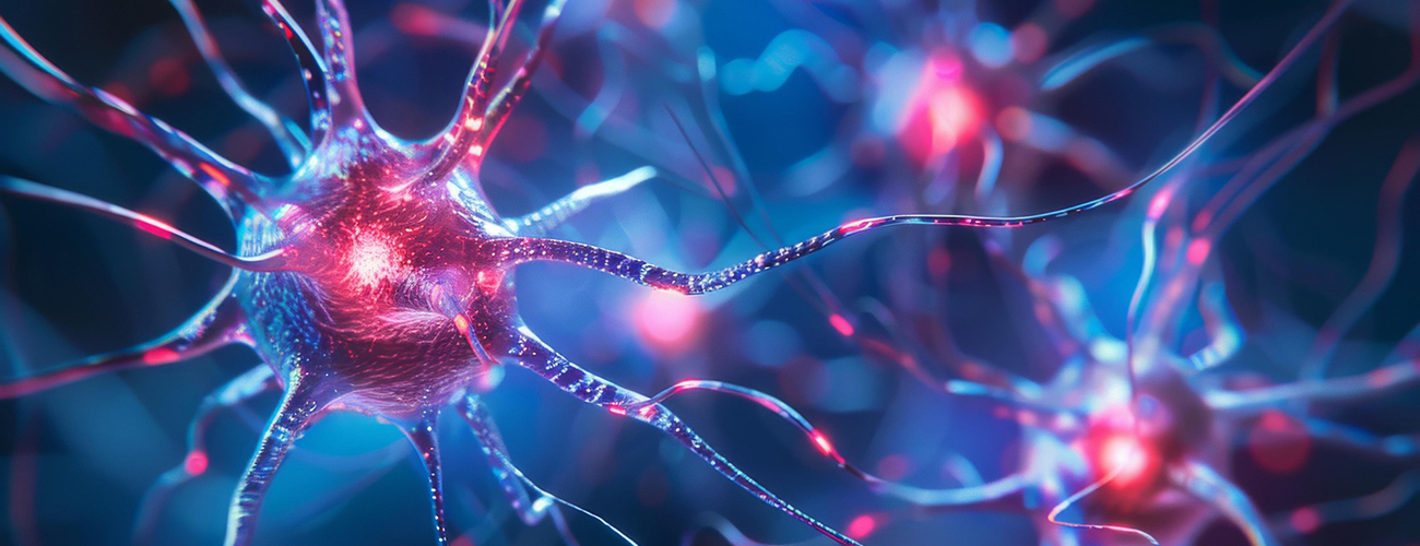 You are currently viewing Wszystko o neurodydaktyce…