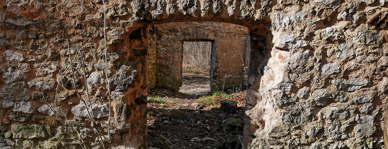 Read more about the article ,,Póki nie jest za późno’’.